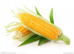 护眼食物之黄色的玉米